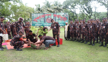 কুড়িগ্রামে বিজিবির বৃক্ষরোপণ কর্মসূচির উদ্বোধন