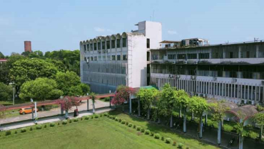 বাকৃবি’র গবেষণা প্রকল্পের ১৪টি ভেড়া চুরি!