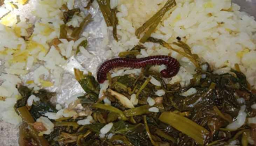 বেরোবির ডাইনিংয়ের খাবারে মিলল পোকা 