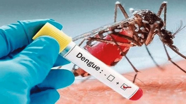 কুমিল্লায় ডেঙ্গুতে ৩ জনের মৃত্যু