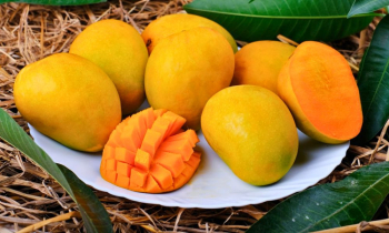 আম খাওয়ার পর যেসব খাবার থেকে দূরে থাকবেন