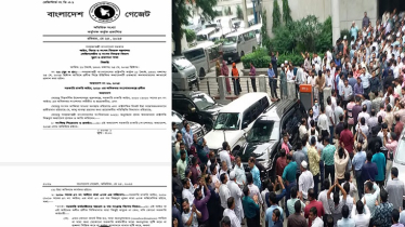 চাকরিচ্যুতির বিধান রেখে সরকারি চাকরি অধ্যাদেশ জারি