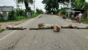 আসন পুনর্বহালের দাবিতে ভাঙ্গায় তৃতীয় দিনের মতো চলছে বিক্ষোভ 