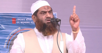 জুলাইয়ের স্বাধীনতা ওয়াশিংটনের গোলামির জন্য নয়: মামুনুল হক