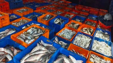 বঙ্গোপসাগরে ভারতীয় দুই ট্রলার জব্দ, ৩৪ জেলে কারাগারে