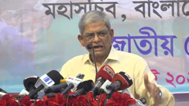 ‘মৌলিক সংস্কার করে দ্রুত নির্বাচনের দিকে যাবে সরকার’ 
