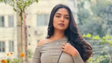 দয়া করে পাইলটকে দোষ দেবেন না: হিমি