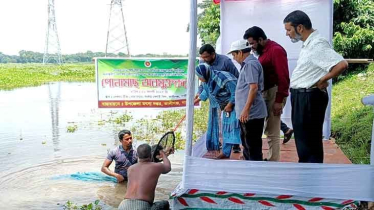কালীগঞ্জে মৎস্য অফিসের উদ্যোগে মাছের পোনা অবমুক্ত