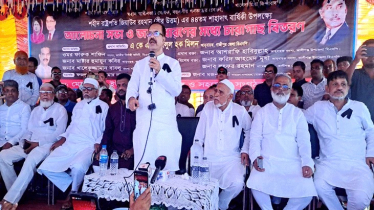 জিয়াউর রহমানের শাহাদাতবার্ষিকী উপলক্ষে গাছের চারা বিতরণ