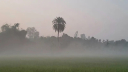 উত্তরে ভোরের কুয়াশায় শীতের আগমনী বার্তা