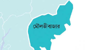 ভারত থেকে আসা ১১ জন বিজিবির হাতে আটক