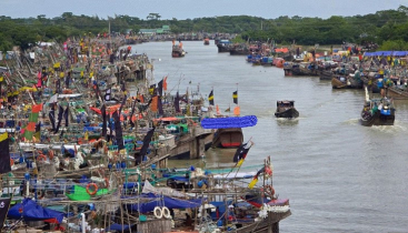 ভরা মৌসুমেও নেই ইলিশ: হতাশ জেলে-ব্যবসায়িীরা