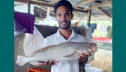 এক পোয়া মাছের দাম ৮০ হাজার টাকা