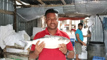 এক ইলিশের দাম ৫ হাজার ৭০০ টাকা!