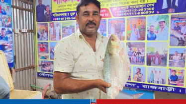 এক ইলিশের দাম ১৪ হাজার ৫০০ টাকা!