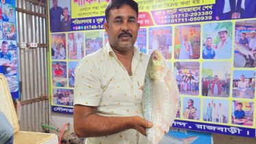 এক ইলিশের দাম ১৪ হাজার ৫০০ টাকা!