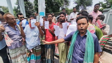বিজিবির অভিযানে ২২ গরু জব্দ, প্রতিবাদে ব্যবসায়ীদের বিক্ষোভ