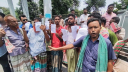 বিজিবির অভিযানে ২২ গরু জব্দ, প্রতিবাদে ব্যবসায়ীদের বিক্ষোভ