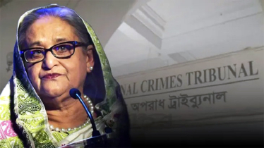 ‘ছত্রীসেনা’ দিয়ে আন্দোলন দমনের নির্দেশ দেন শেখ হাসিনা