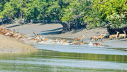 তিন মাস পর সোমবার উন্মুক্ত হচ্ছে সুন্দরবন