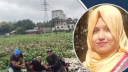 ৩৬ ঘণ্টা পর ড্রেনে পড়ে নিখোঁজ নারীর মরদেহ উদ্ধার