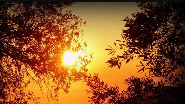 বছরের সবচেয়ে ছোট দিন আজ