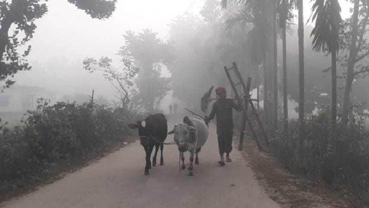 ১১ ডিগ্রিতে কাঁপছে পঞ্চগড়, জনজীবন স্থবির