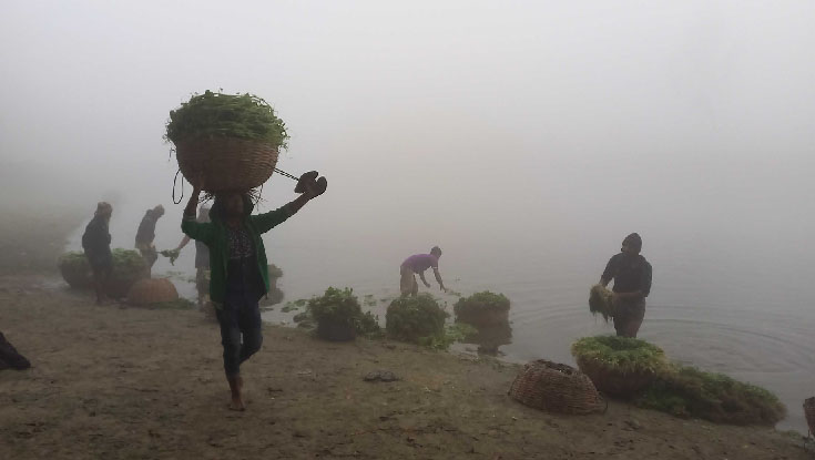 পঞ্চগড়ে দেখা নেই সূর্যের, তাপমাত্রা ৯ ডিগ্রির ঘরে