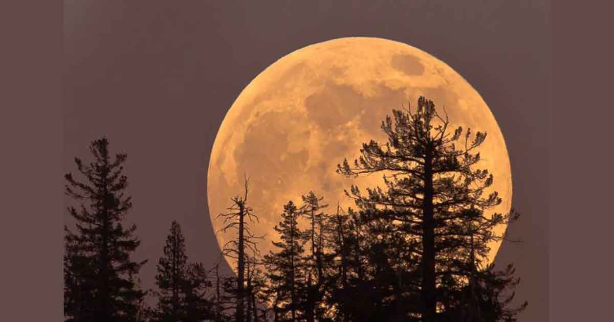 বছরের শেষ ‘কোল্ড সুপারমুন’ দেখা যাবে আজ 