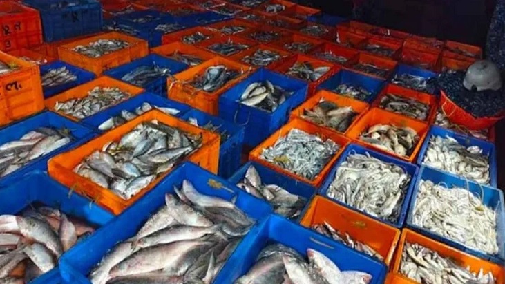 বঙ্গোপসাগরে ভারতীয় দুই ট্রলার জব্দ, ৩৪ জেলে কারাগারে বঙ্গোপসাগরে ভারতীয় দুই ট্রলার জব্দ, ৩৪ জেলে কারাগারে