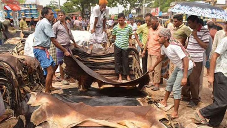 কোরবানির পশুর চামড়ার নতুন দাম নির্ধারণ