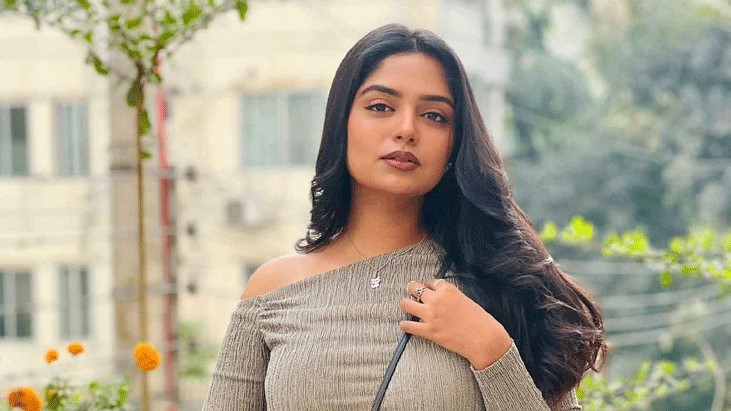 দয়া করে পাইলটকে দোষ দেবেন না: হিমি