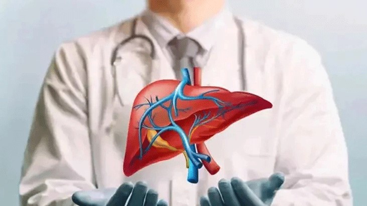 লিভার ভালো রাখতে পান করুন ৫ পানীয় লিভার ভালো রাখতে পান করুন ৫ পানীয়
