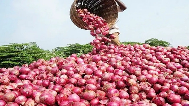 সীমিত আকারে পেঁয়াজ আমদানির অনুমতি