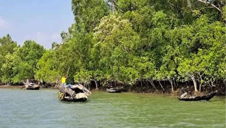 নিষেধাজ্ঞা শেষে পর্যটক-বনজীবীদের জন্য উন্মুক্ত সুন্দরবন নিষেধাজ্ঞা শেষে পর্যটক-বনজীবীদের জন্য উন্মুক্ত সুন্দরবন