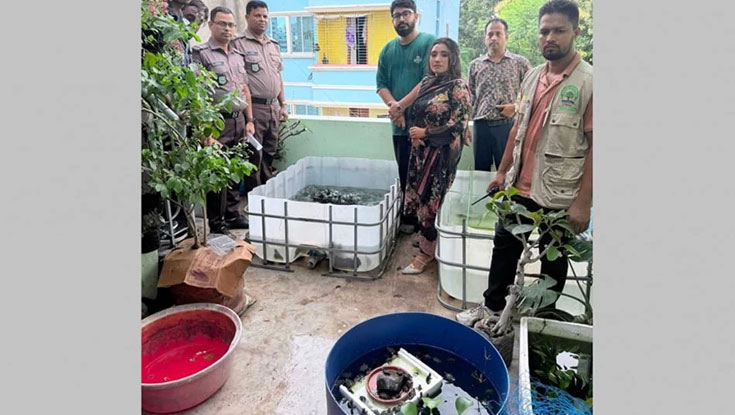 রাজধানীতে ১১০৪ বিদেশি বন্যপ্রাণী উদ্ধার