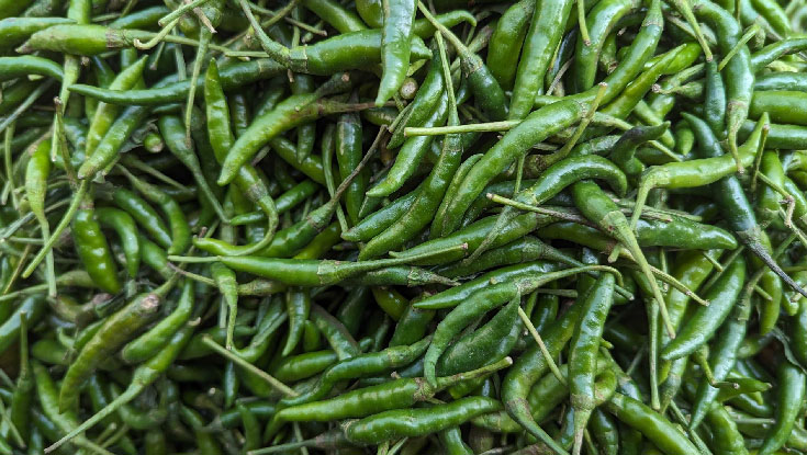 কাঁচা মরিচের ঝালে ক্রেতার চোখে পানি