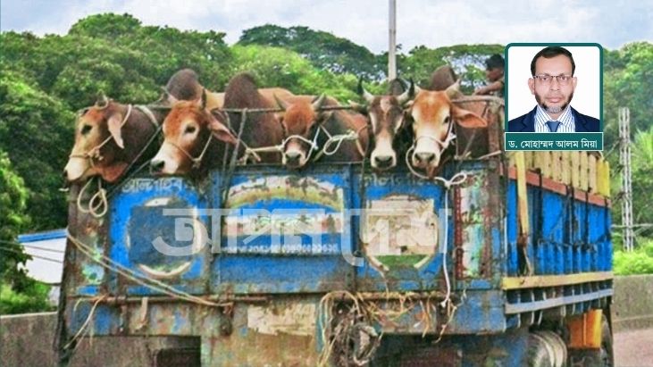 কুরবানির পশু পরিবহনে প্রাণিকল্যাণ আইন প্রয়োগের আহবান বাকৃবি গবেষকদের