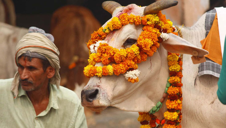 পশ্চিমবঙ্গে গরুসহ সব ধরনের পশু জবাই নিষিদ্ধ