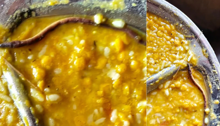 স্কুলের খাবারে মিলল সাপ, শতাধিক শিক্ষার্থী অসুস্থ
