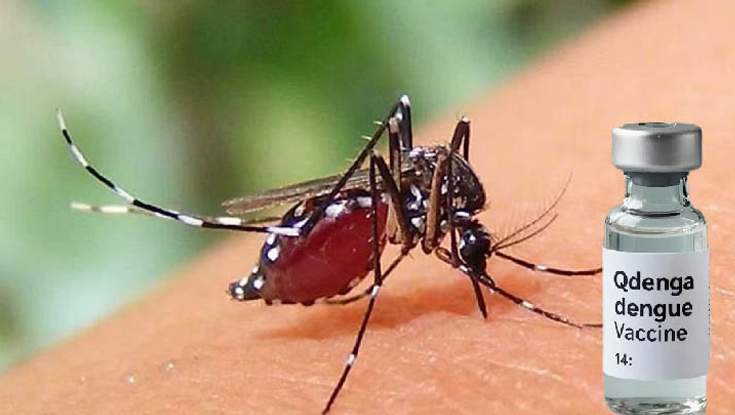 ডেঙ্গুতে ৩ জনের মৃত্যু