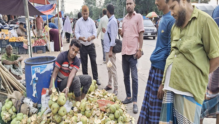 হাঁসফাঁস গরমে তালের শাষে মিলছে স্বস্তি