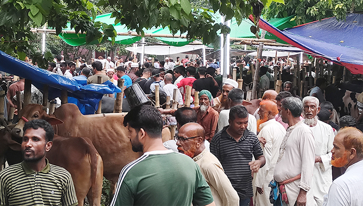 জমে উঠেছে চরভদ্রাসনের গরু-ছাগলের হাট