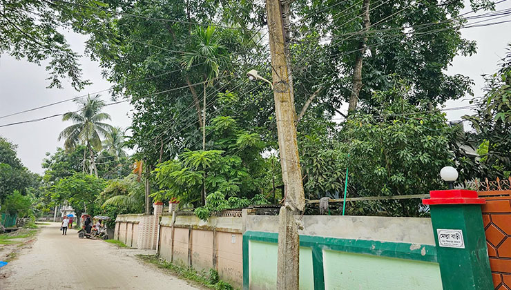 গাছে ঝুলছে বিদ্যুতের ভাঙা খুঁটি, চলছে ঝুঁকিপূর্ণ বিদ্যুৎ সরবরাহ