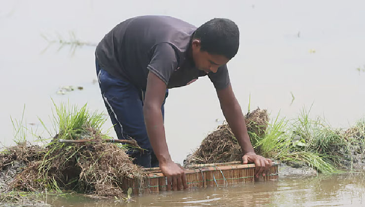 ছোট মাছ ধরার বিশেষ ফাঁদ