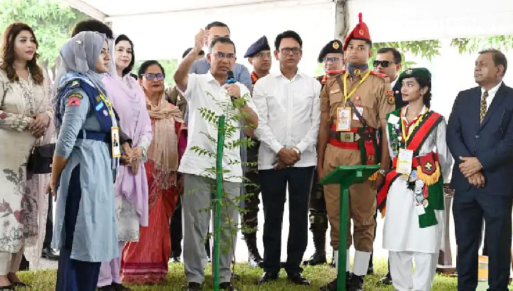 সবাইকে প্রতিবছর একটি করে গাছ লাগাতে হবে: প্রধানমন্ত্রী