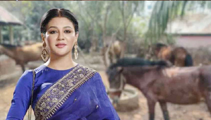 ঘোড়া নিয়ে জয়া আহসানের রিট, তদন্তের নির্দেশ