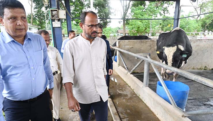 ‘দেশী জাতের গবাদিপশু উন্নয়নে কার্যকর পদক্ষেপ নেয়া হবে’