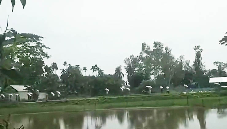 গুদাম ভেঙে ২০২ বস্তা সার লুট করল কৃষকরা