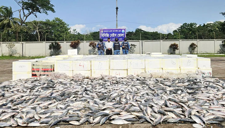 কোটি টাকার অবৈধ সামুদ্রিক ইলিশ জব্দ